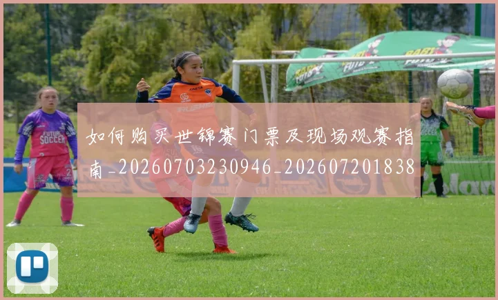 如何购买世锦赛门票及现场观赛指南_20260703230946_20260720183818